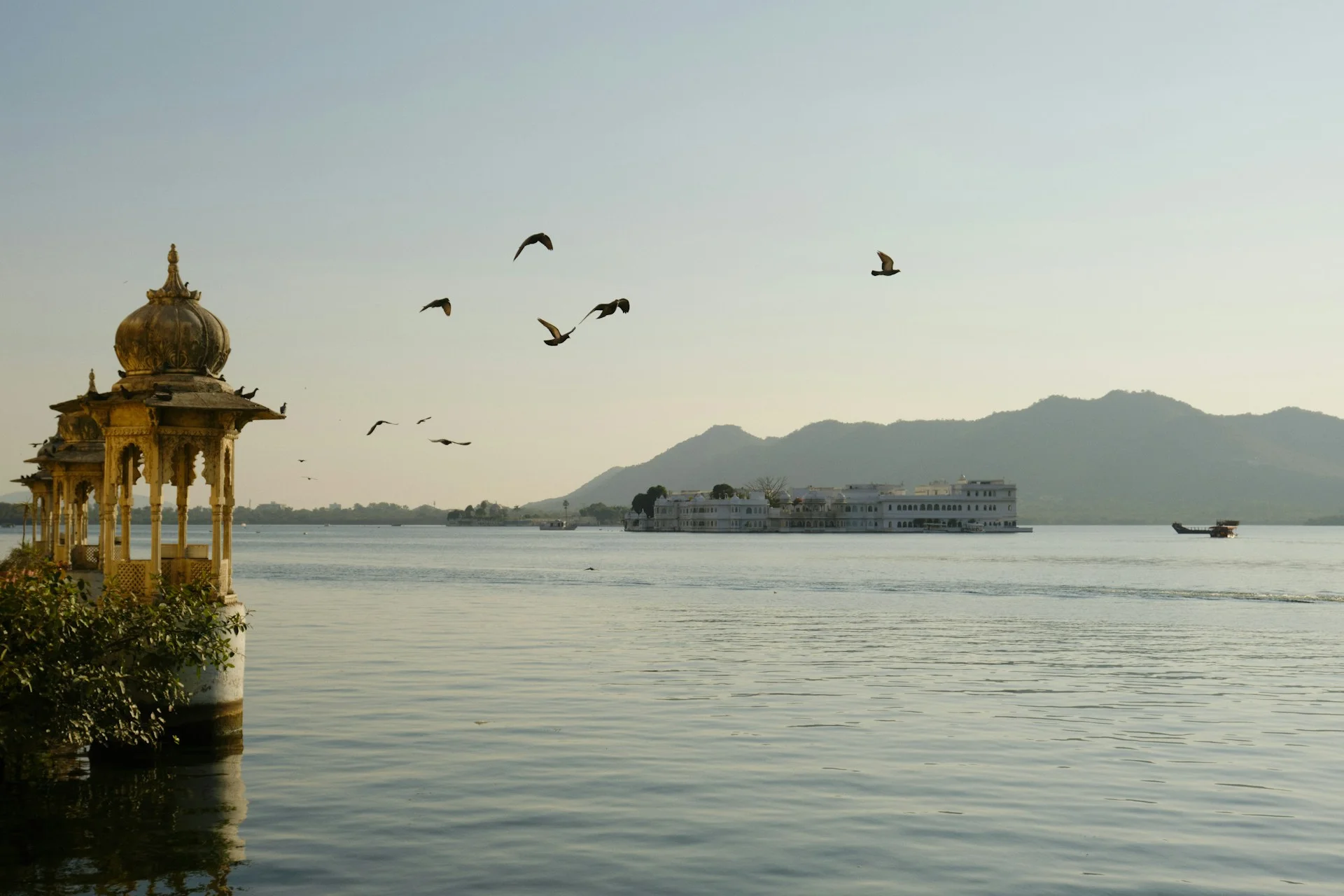 Pre wedding shoot in udaipur